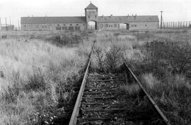 International Holocaust Remembrance Day – Jan 27